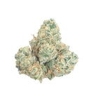 Apple Tart (Hybrid - 26.20% THCA)