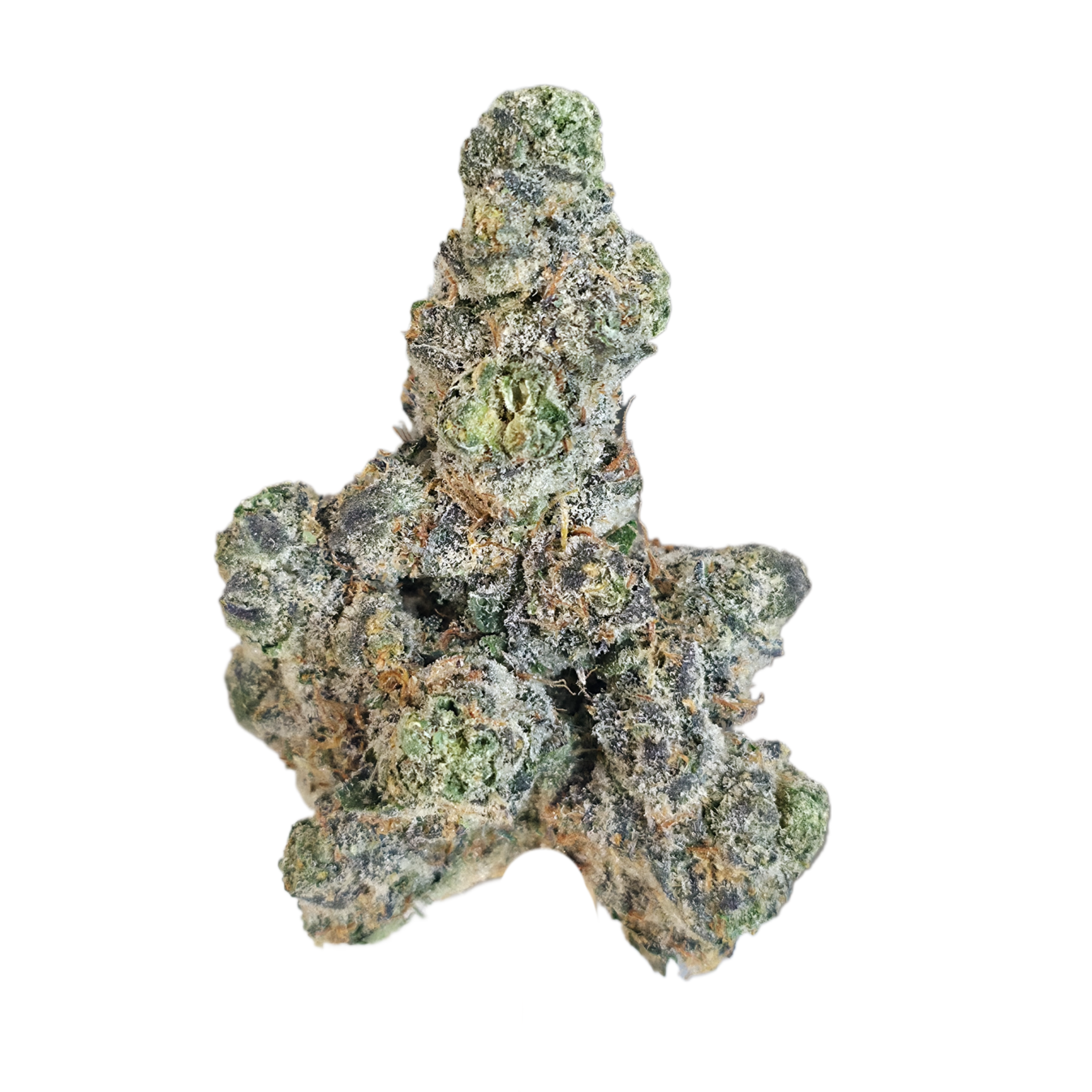 Alien Hallucination (Hybrid - 20.5% THCA)