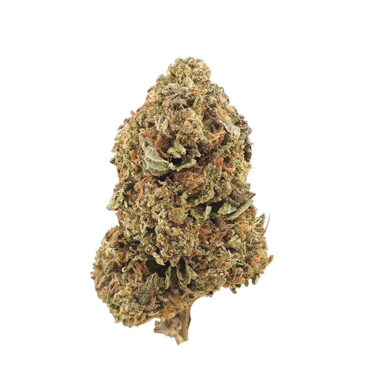 Animal Mintz (23.20% THCA Hybrid)