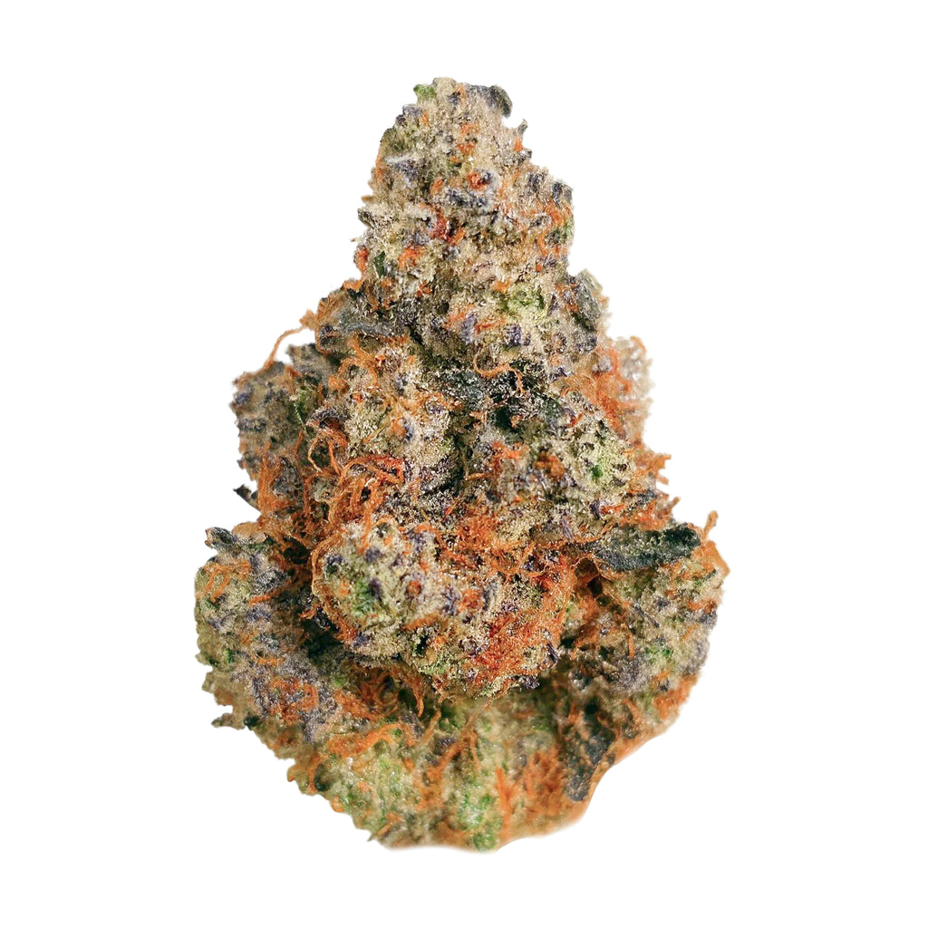 Baccio (Hybrid - 24.64% THCA)