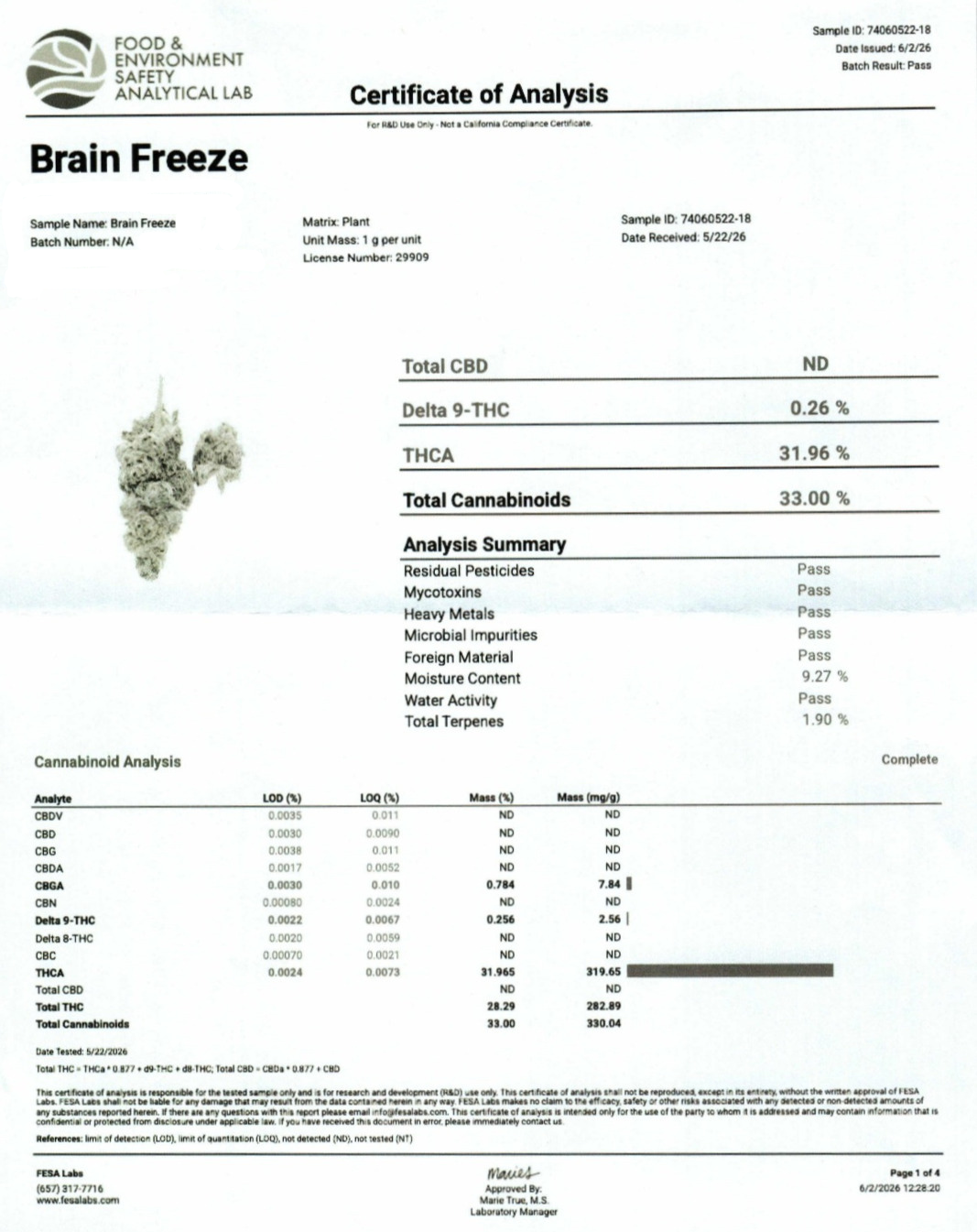 Brain Freeze Indoor (Hybrid- 31.96% THCA)