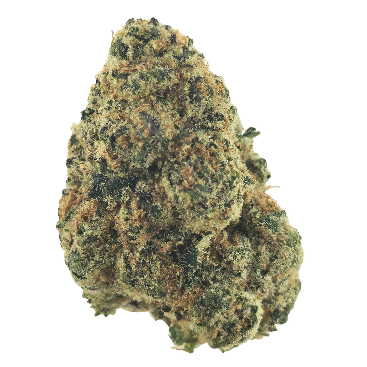 Candy Comet (Hybrid/Sativa-  28.23% THCA)