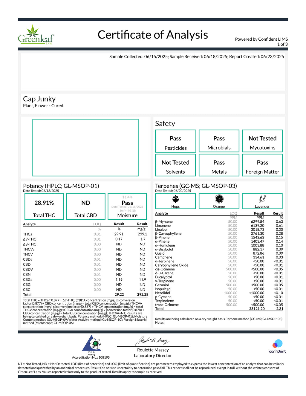 Cap Junky (Hybrid - 29.9% THCA)