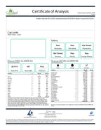 Cap Junky (Hybrid - 29.9% THCA)