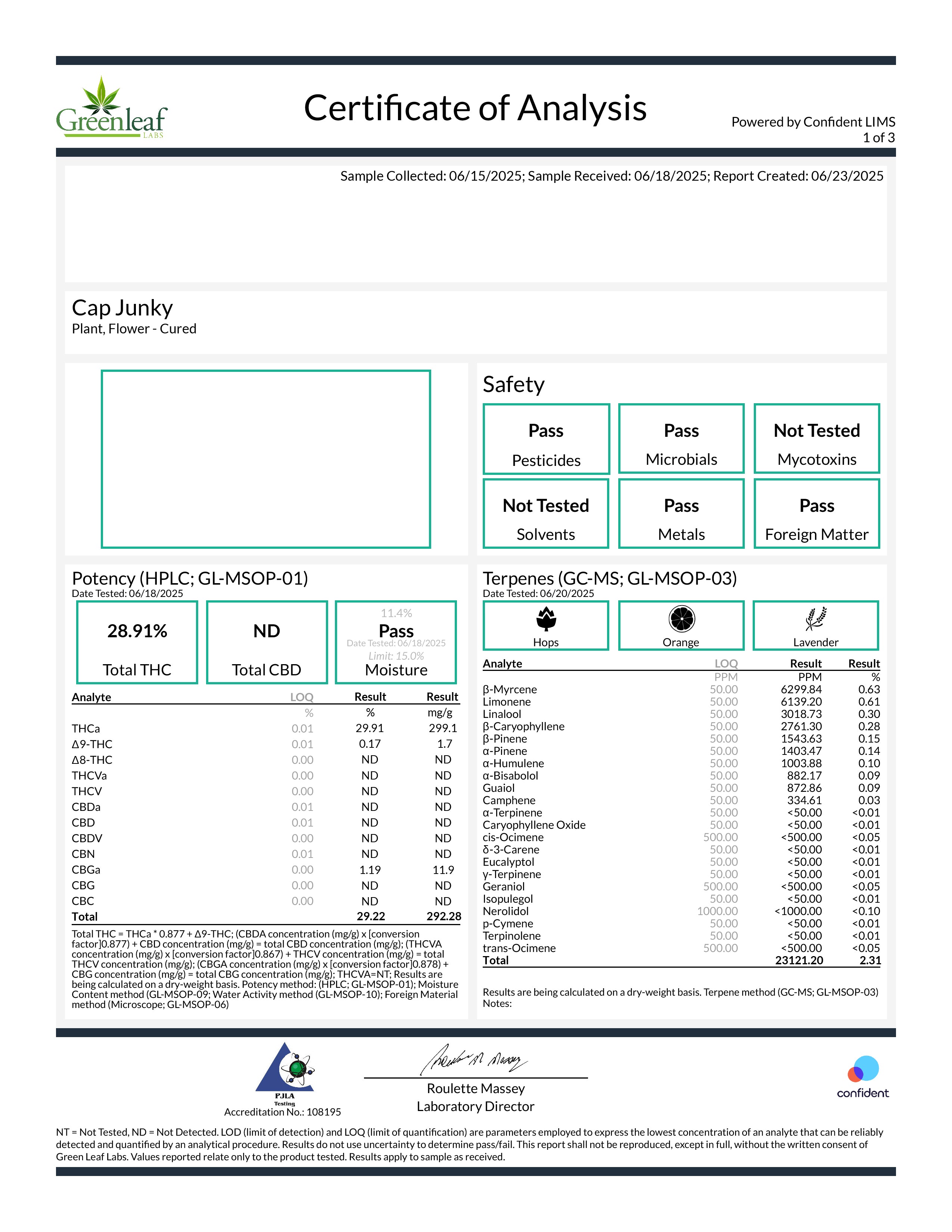 Cap Junky (Hybrid - 29.9% THCA)