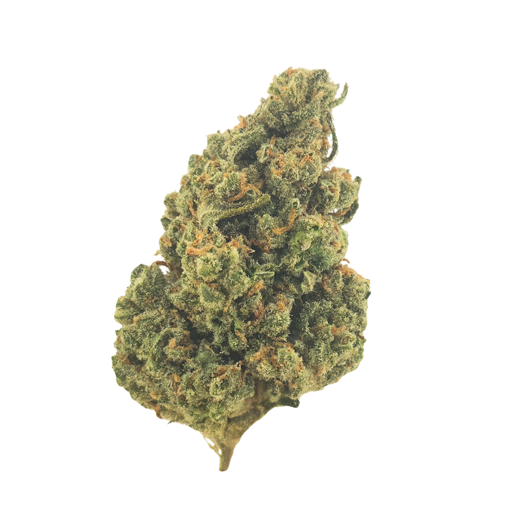 Durban Poison Indoor (Sativa- 33.18% THCA)
