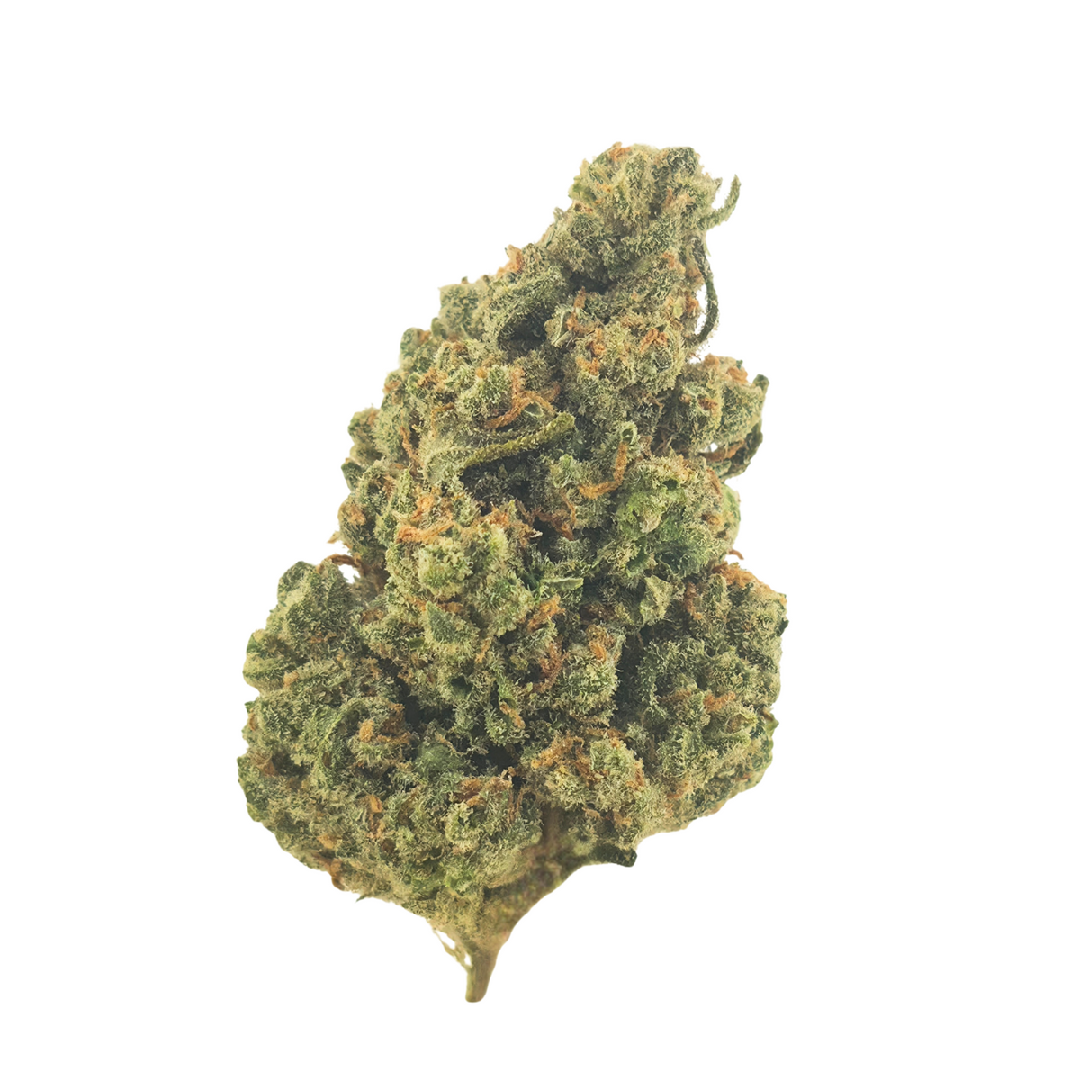Durban Poison Indoor (Sativa- 33.18% THCA)