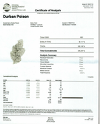 Durban Poison Indoor (Sativa- 33.18% THCA)