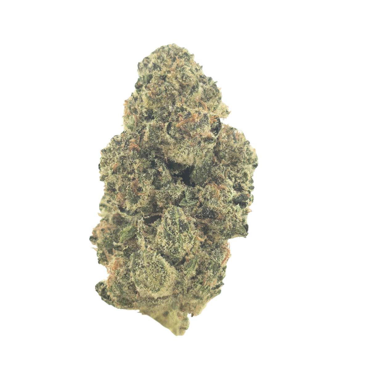 Electric WiFi Indoor (Sativa Dom Hybrid - 30.69% THCA)