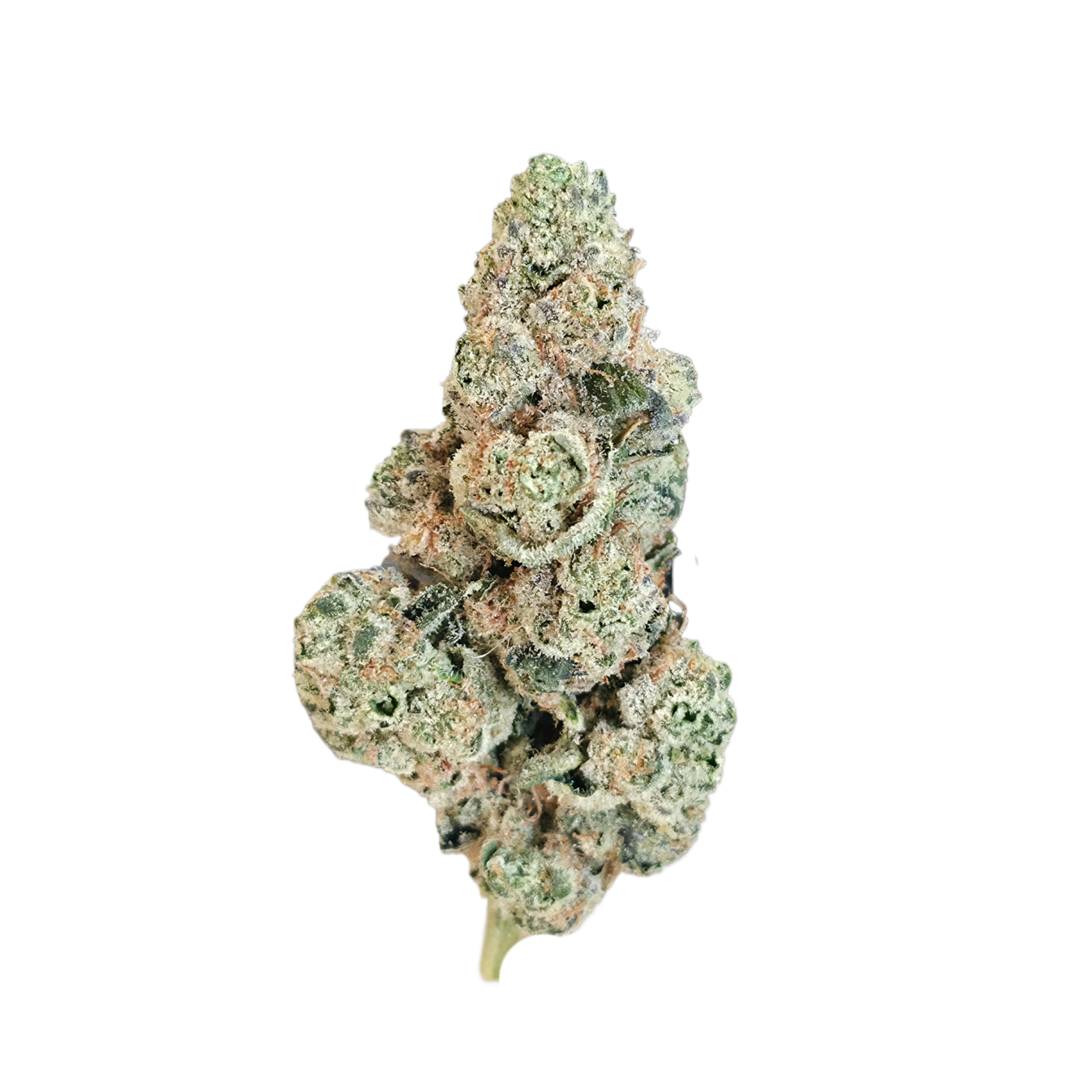 Giraffe Pussy (Hybrid/Sativa Dominant - 24.42% THCA)