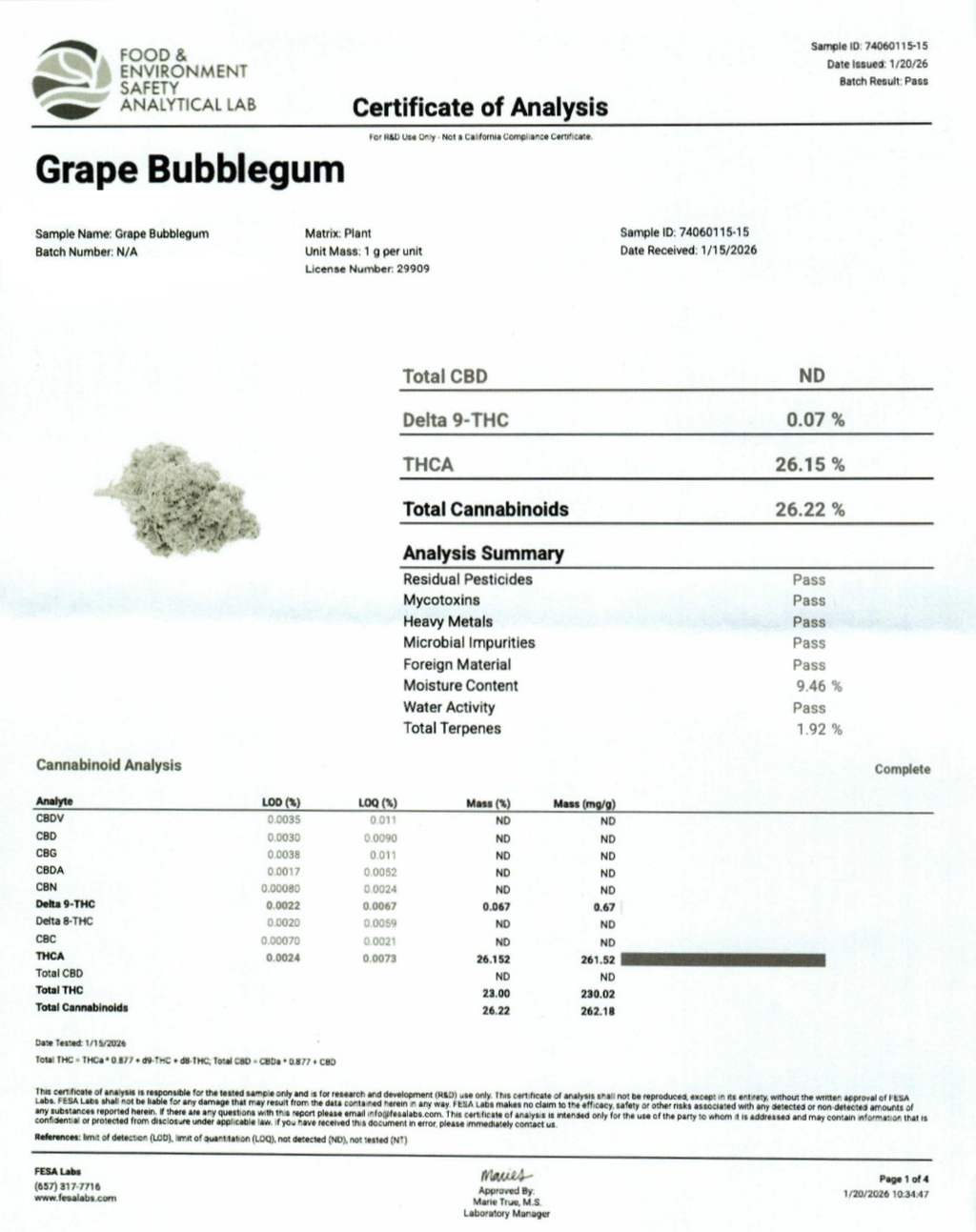 Grape Bubblegum Indoor (Indica- 26.15% THCA)