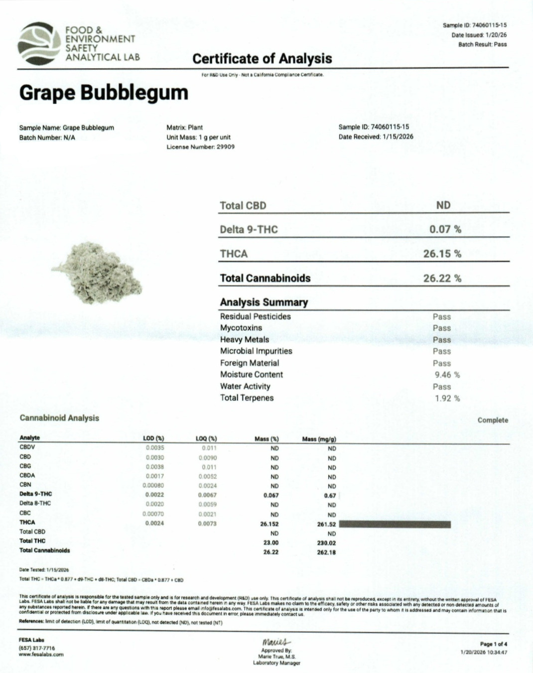 Grape Bubblegum Indoor (Indica- 26.15% THCA)