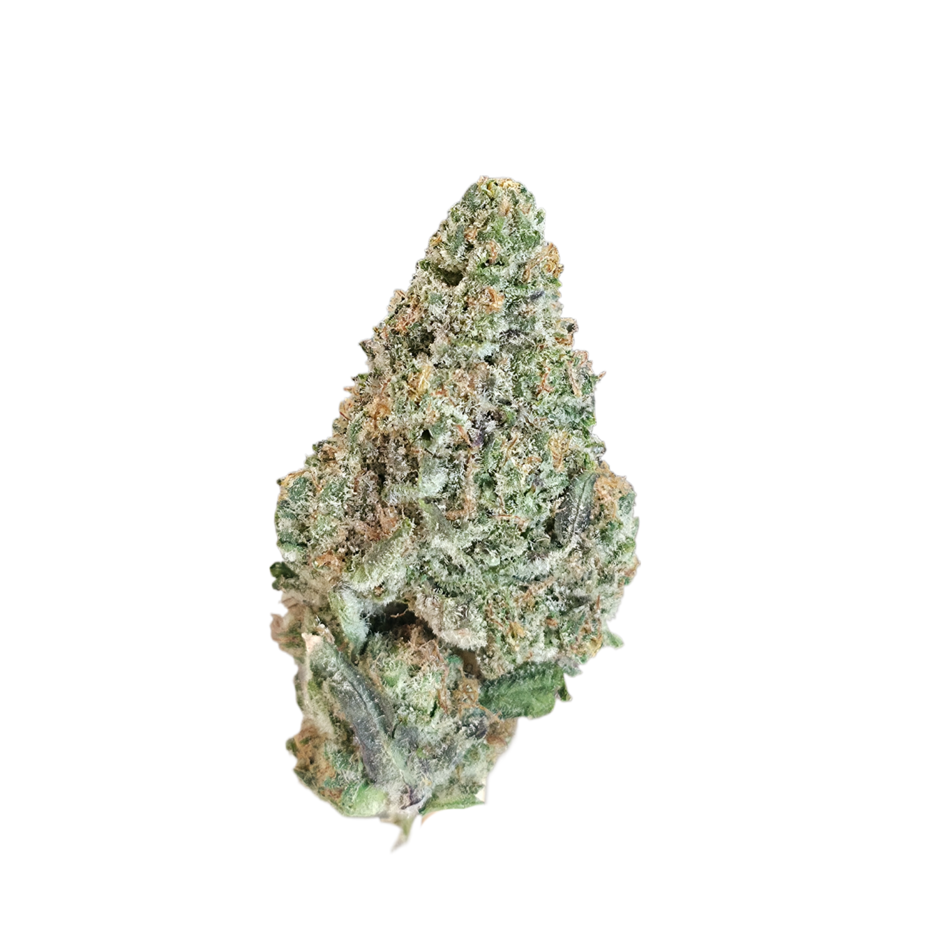 Grape Frosty (Indica - 16.83% THCA)