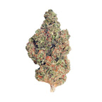 Huckelberry Soda (Indica - 25.05% THCA)