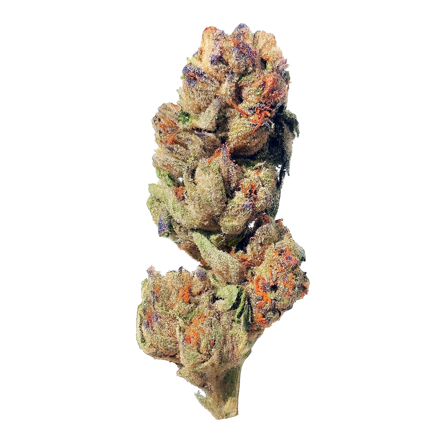 Jack Herer (Sativa - 37.4% THCA)