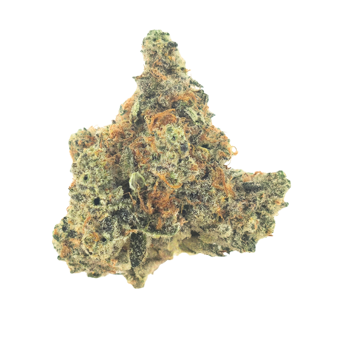 Larry Bird Indoor (Hybrid-31.29% THCA)