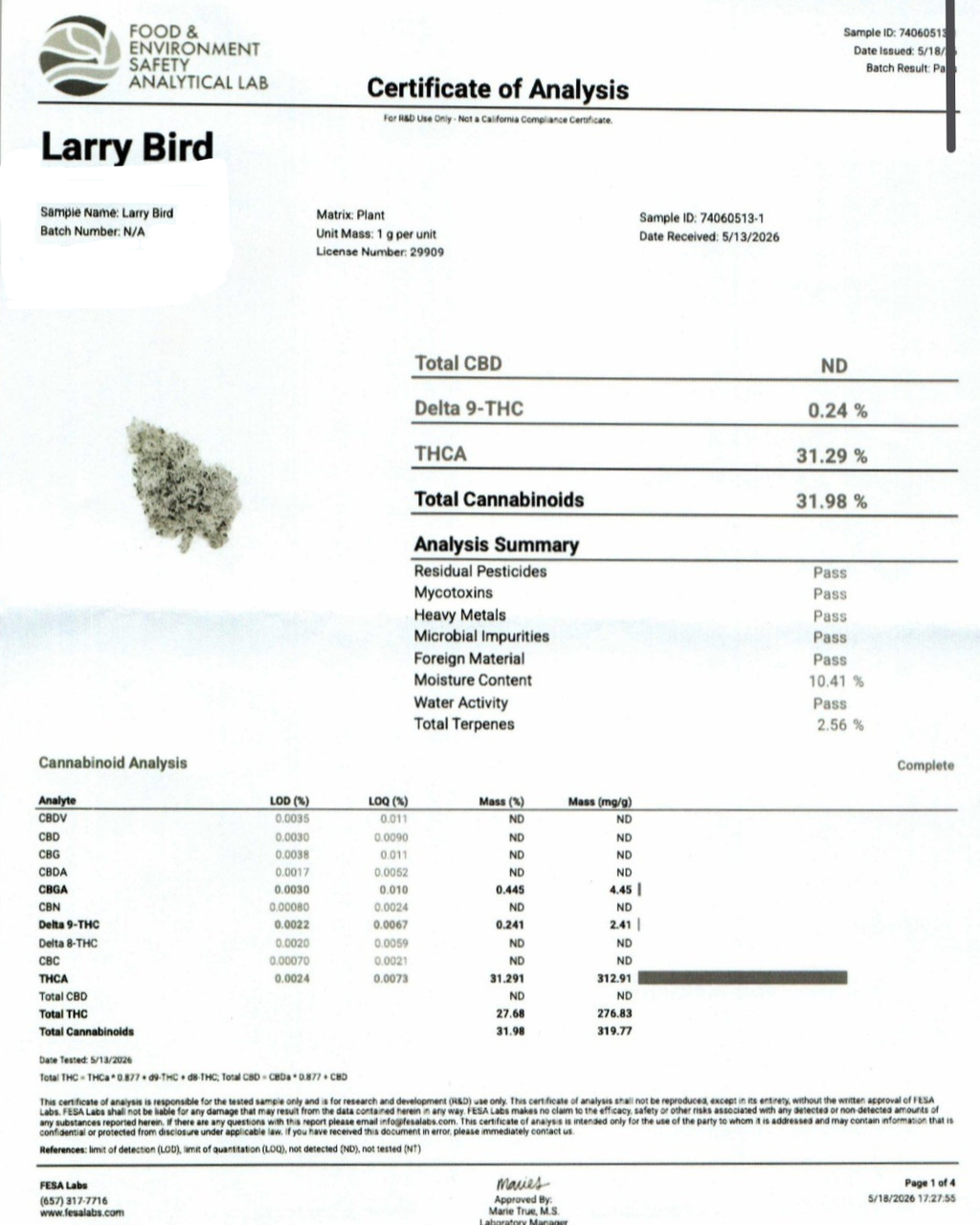 Larry Bird Indoor (Hybrid-31.29% THCA)