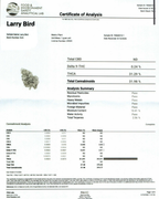 Larry Bird Indoor (Hybrid-31.29% THCA)