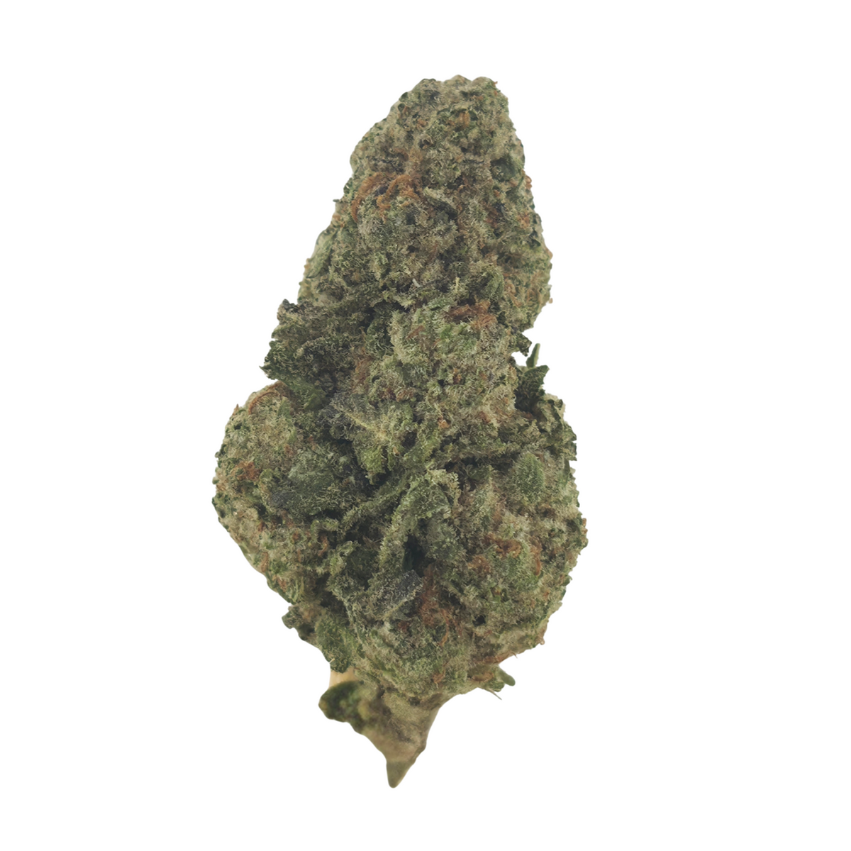 Lemon Runtz Indoor (Hybrid- 32.50% THCA)