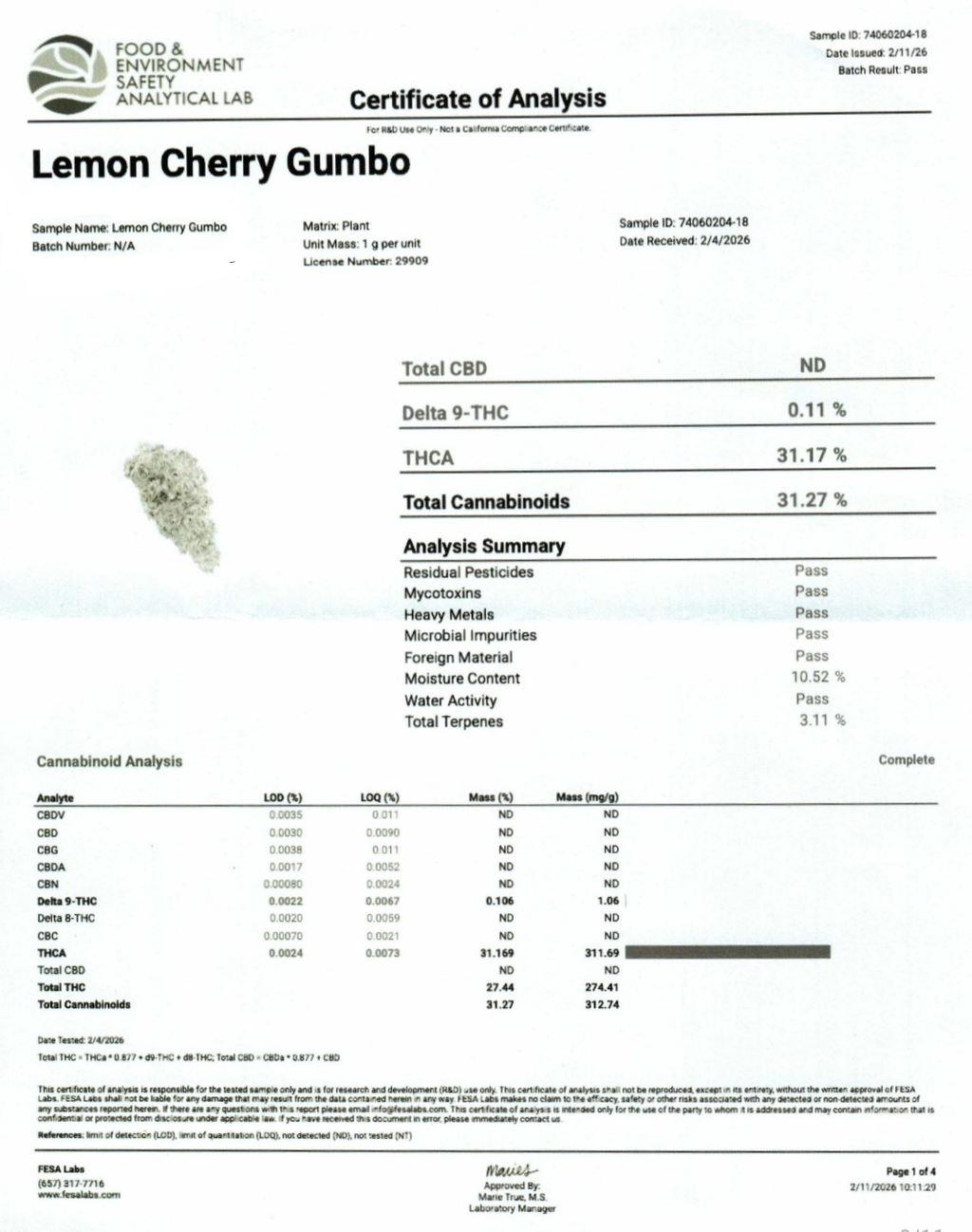 Lemon Cherry Gumbo Indoor (Hybrid- 31.17% THCA)