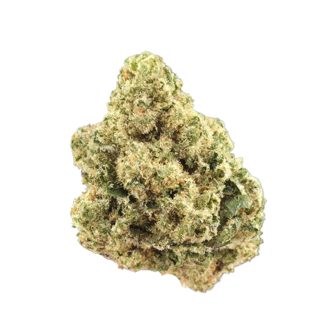 Versace (Hybrid - 22.33% THCA)