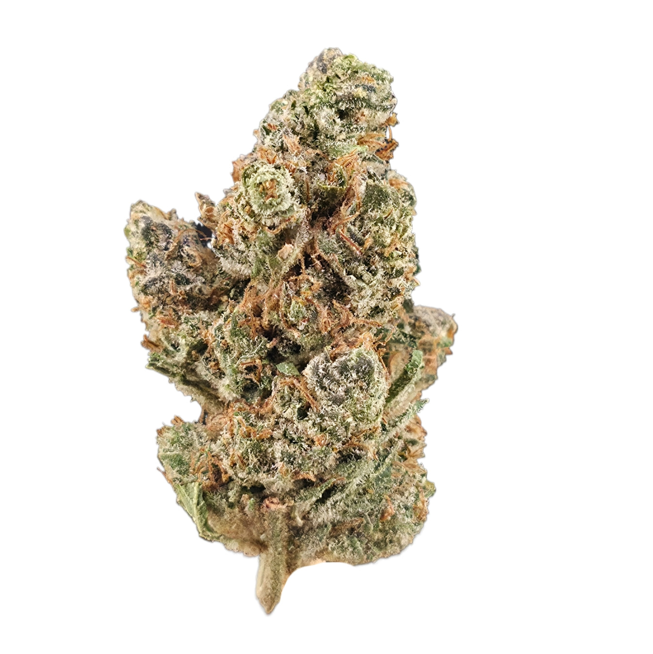 Sour Zkittlez (Sativa- 15.62% THCA)