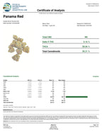 Panama Red (Sativa - 28.06% THCA)