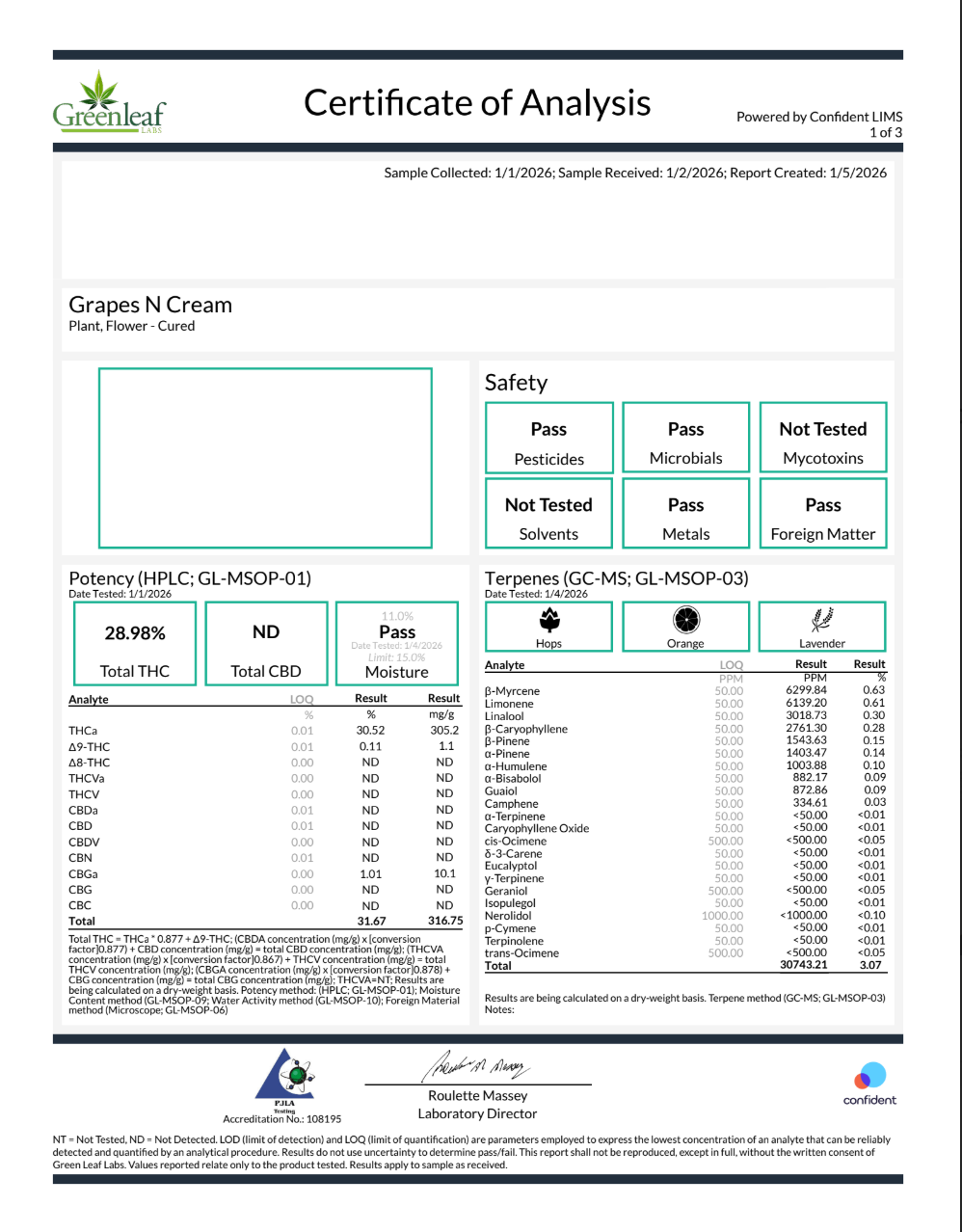 Grape Cream (Hybrid - 30.52%THCA)