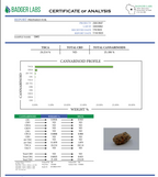 GMO (Indica - 24.21% THCA)