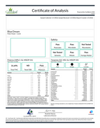 Blue Dream (Sativa - 32.77% THCA)