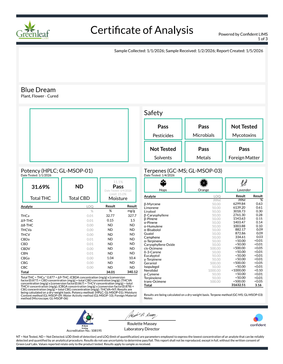 Blue Dream (Sativa - 32.77% THCA)