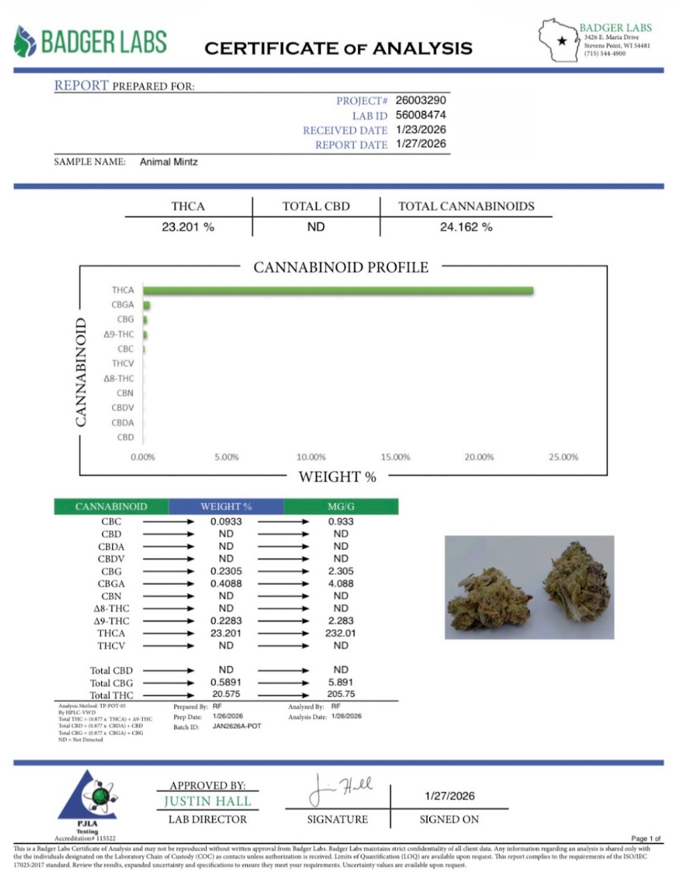 Animal Mintz (23.20% THCA Hybrid)