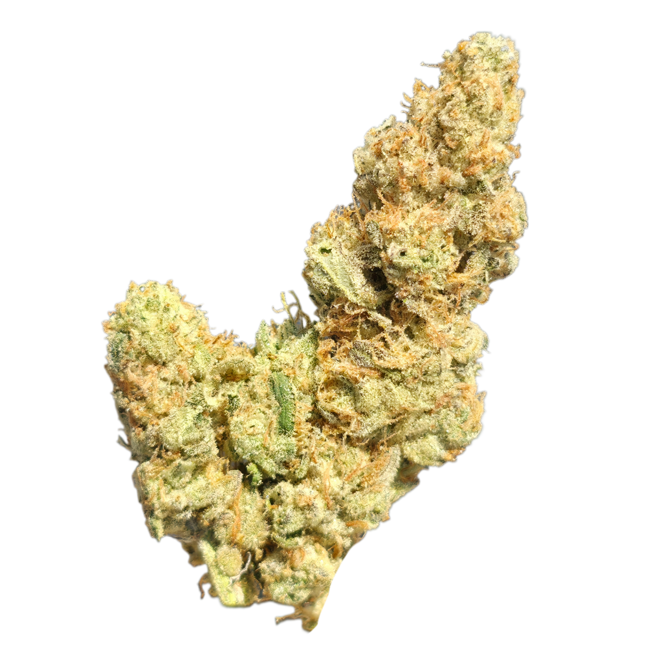 Sour Candy (Hybrid/Sativa - 30.74% THCA)
