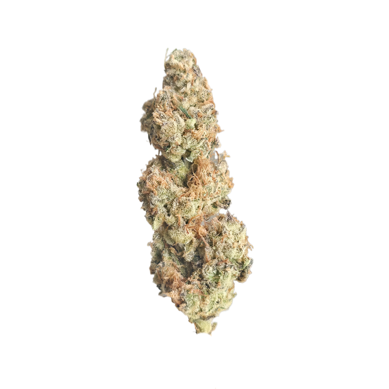Sour Candy (Hybrid/Sativa - 30.74% THCA)
