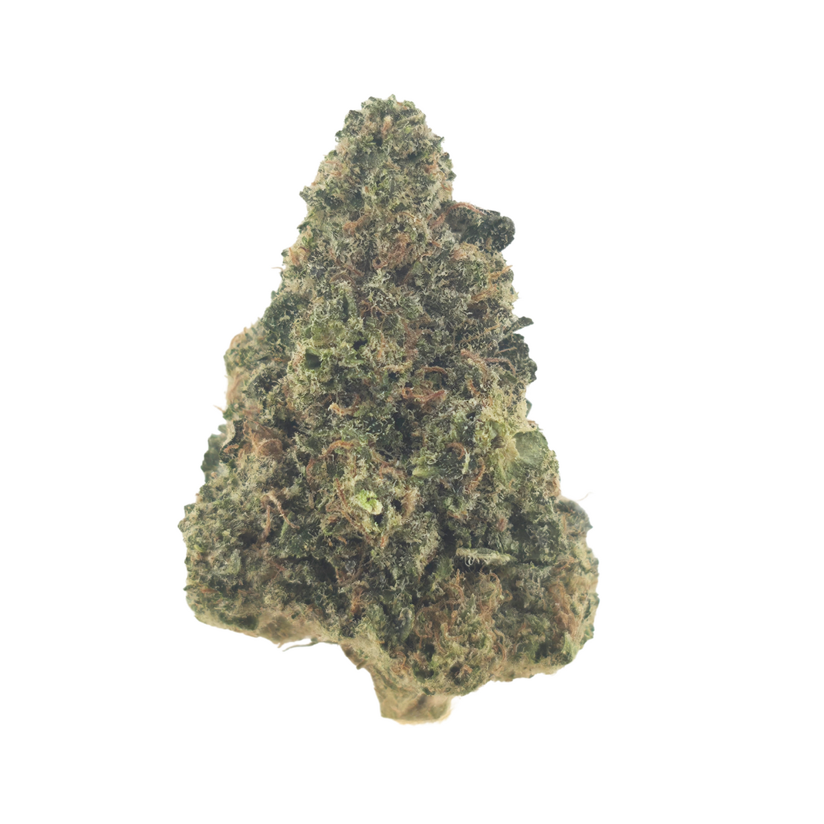 Super Lemon Haze Indoor (Sativa- 31.13% THCA)