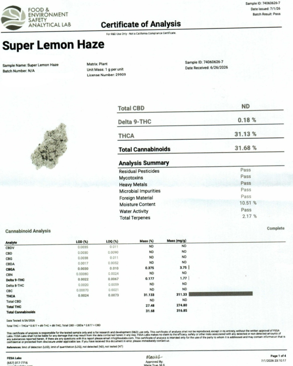 Super Lemon Haze Indoor (Sativa- 31.13% THCA)