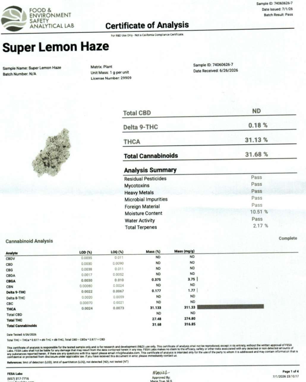 Super Lemon Haze Indoor (Sativa- 31.13% THCA)