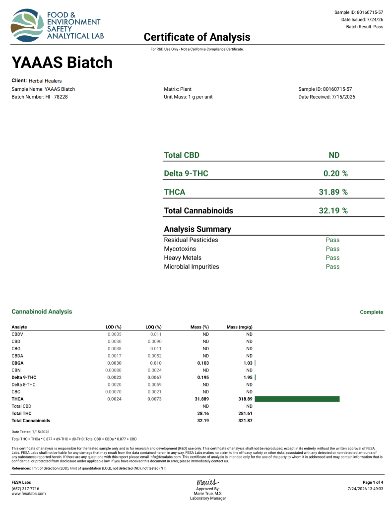 Yaaas Biatch (Hybrid/Indica - 31.89% THCA)