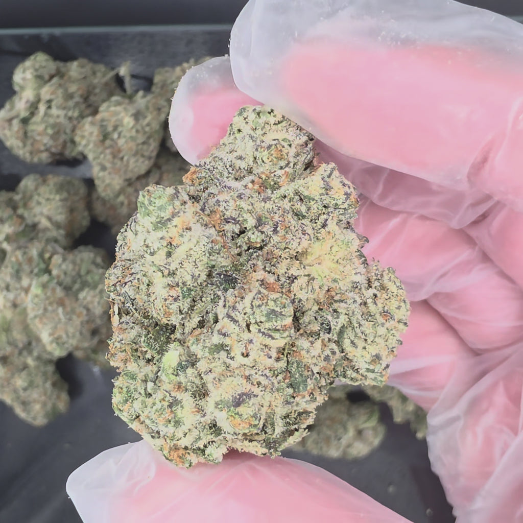 Kundalini Sherbet (Hybrid - 30.64% THCA)