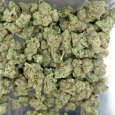 Blue Dream (Sativa - 32.77% THCA)