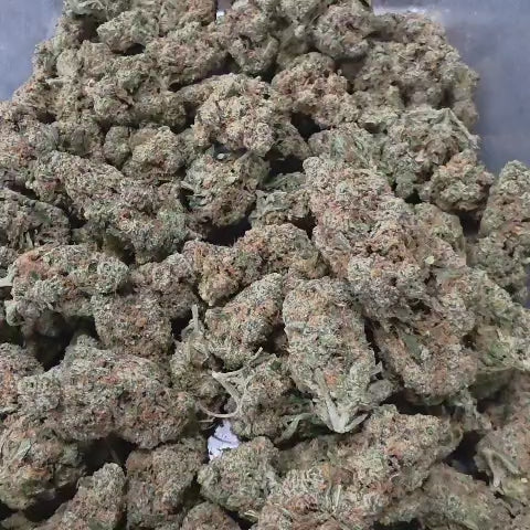 Jack Frosty (Sativa - 29.15% THCA)