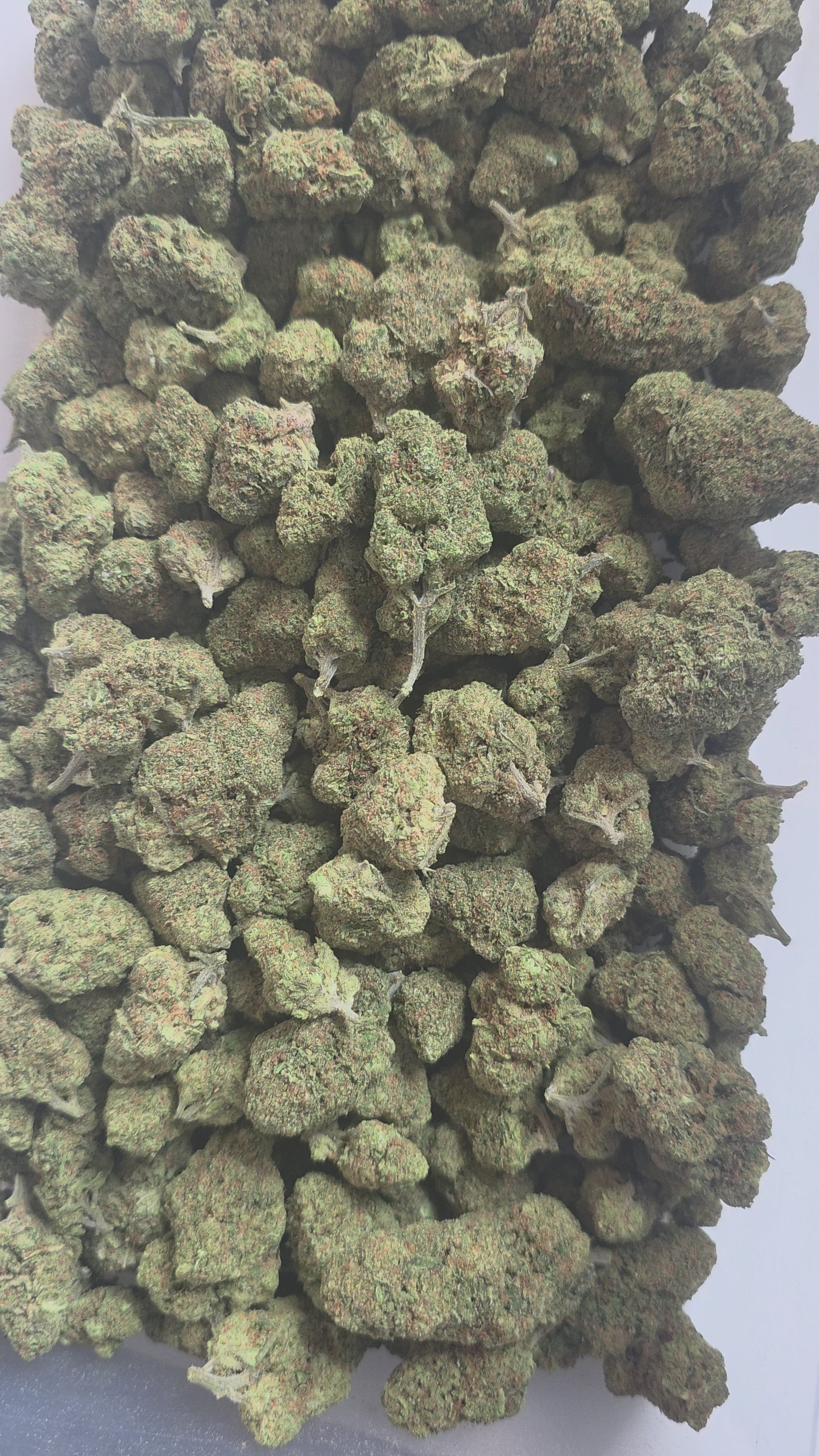 Apple'n Banana (Small & Med)(Hybrid - 24.62% THCA)