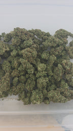 Durban Poison Indoor (Sativa- 33.18% THCA)