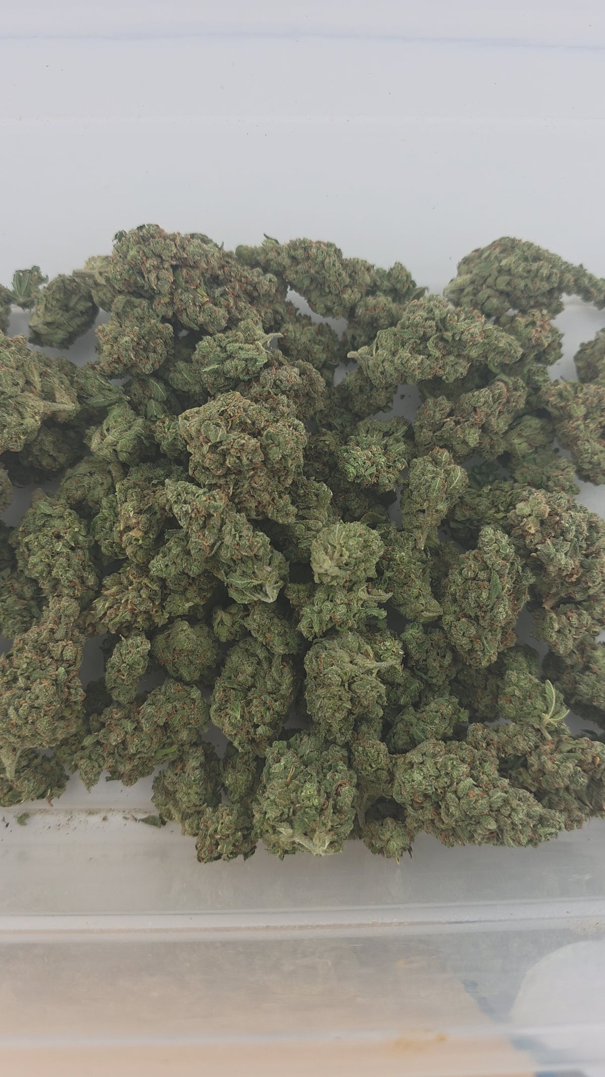 Durban Poison Indoor (Sativa- 33.18% THCA)