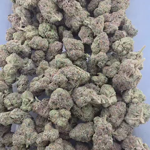 Purple Gas (Indica - 25.74% THCA)