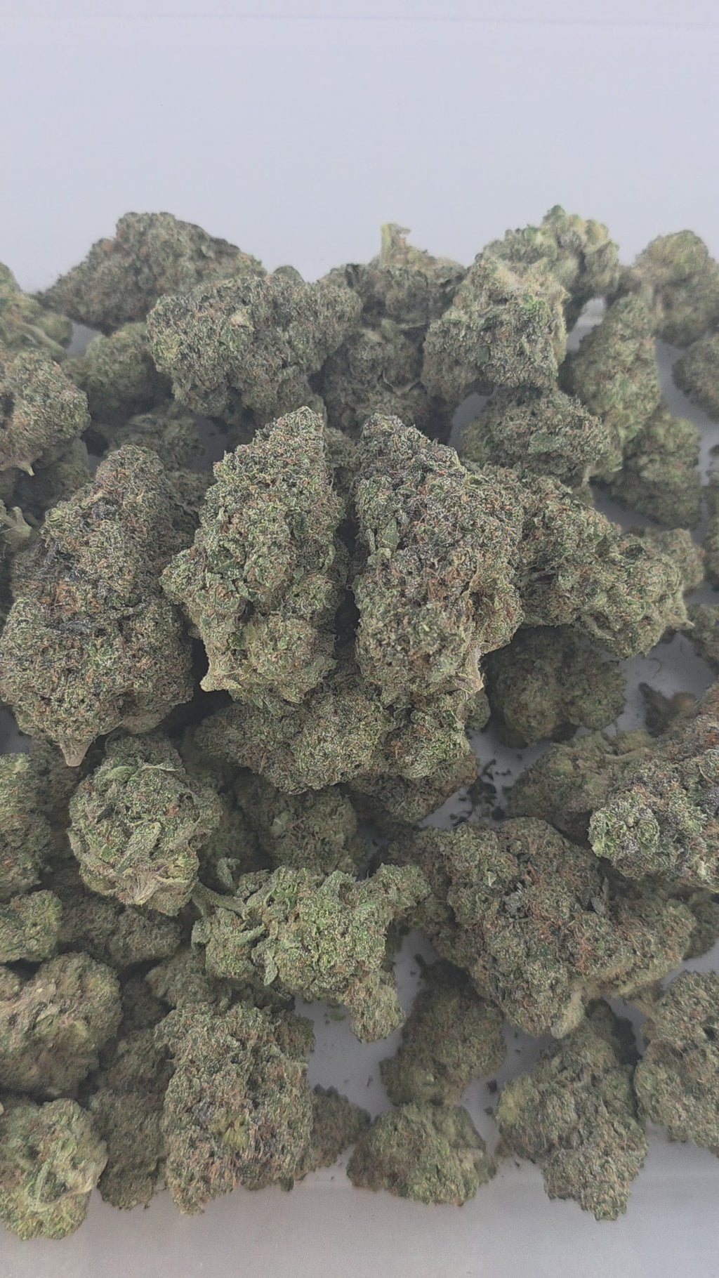 Super Lemon Haze Indoor (Sativa- 31.13% THCA)