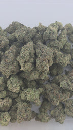 Super Lemon Haze Indoor (Sativa- 31.13% THCA)