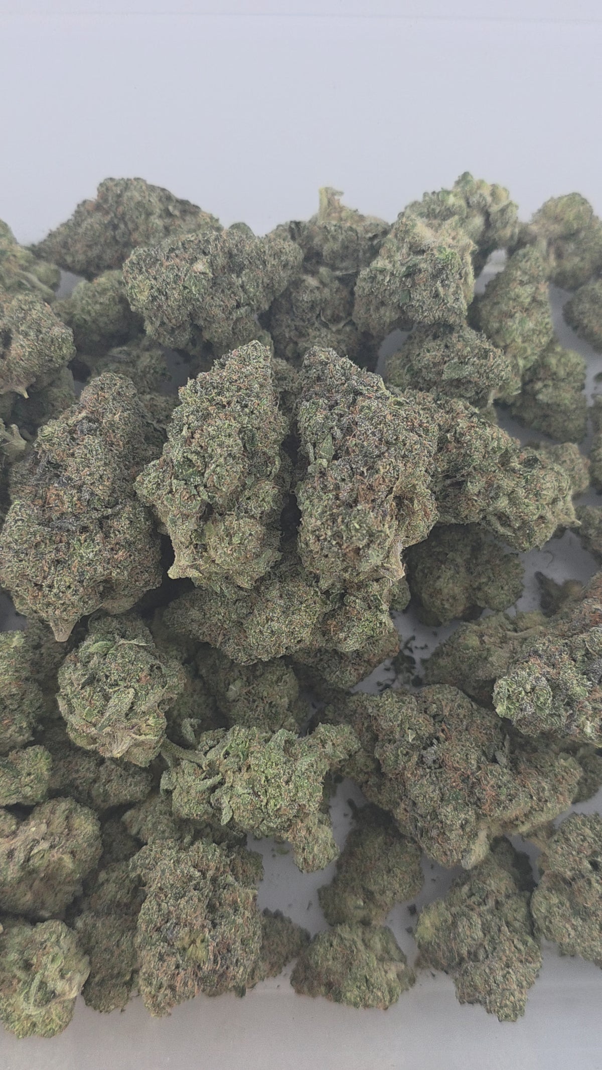 Super Lemon Haze Indoor (Sativa- 31.13% THCA)