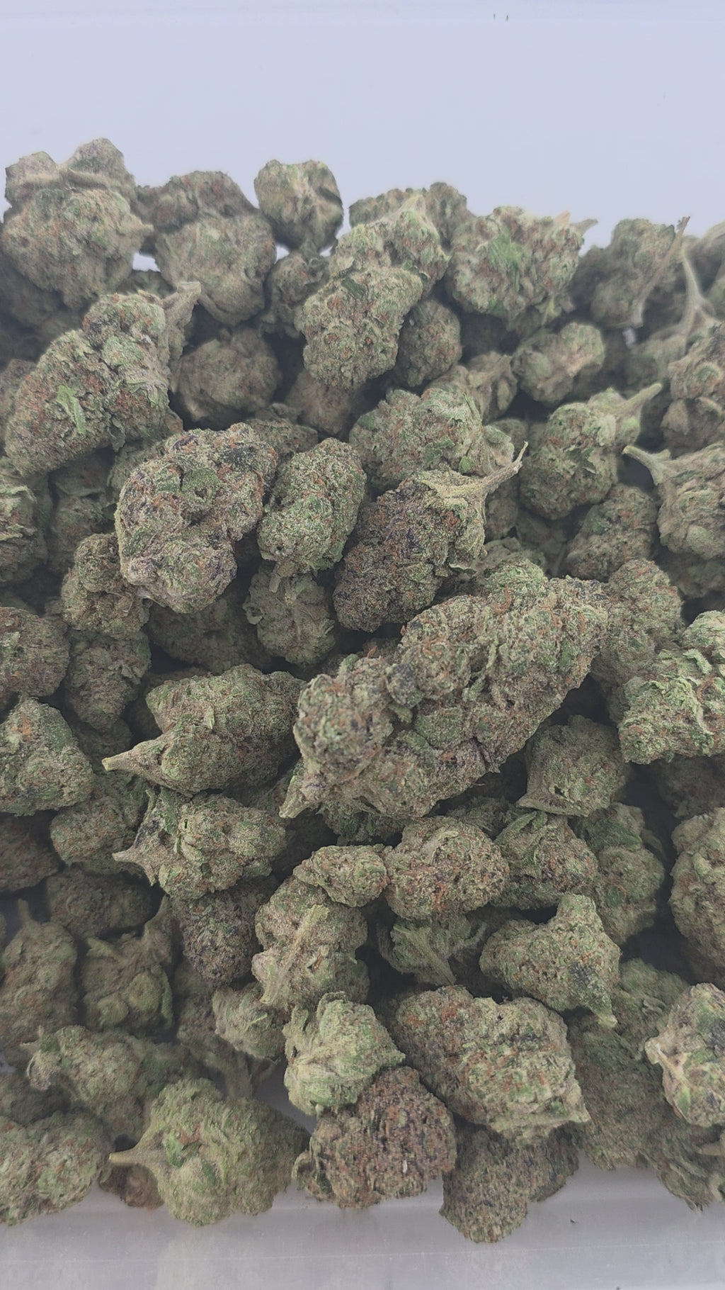 Lemon Runtz Indoor (Hybrid- 32.50% THCA)