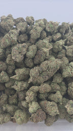 Lemon Runtz Indoor (Hybrid- 32.50% THCA)